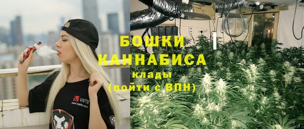 spice Володарск
